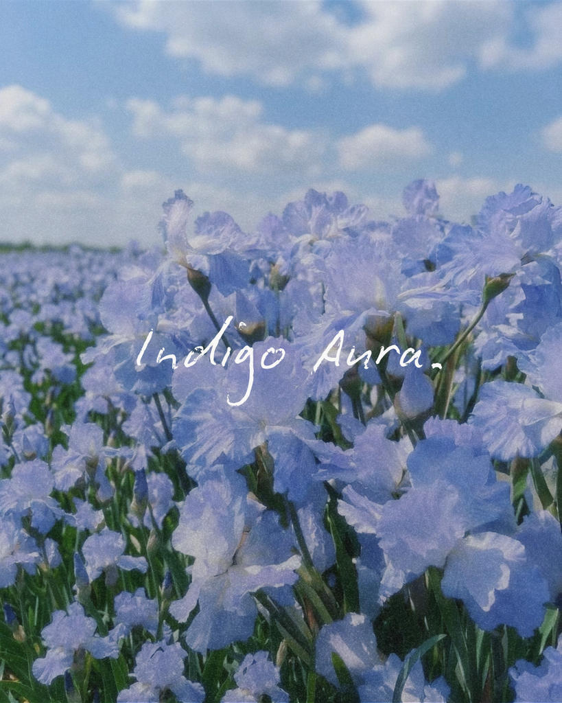 Indigo Aura