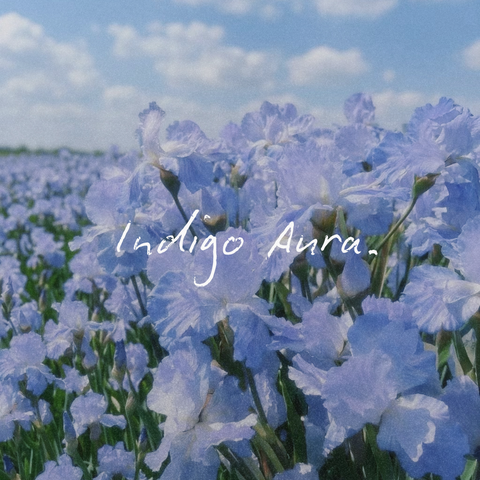 Indigo Aura