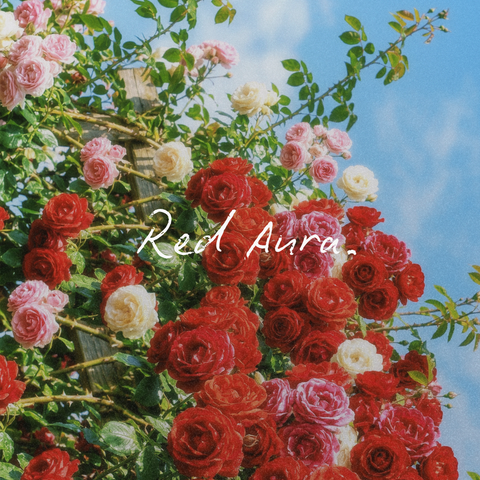 Red Aura
